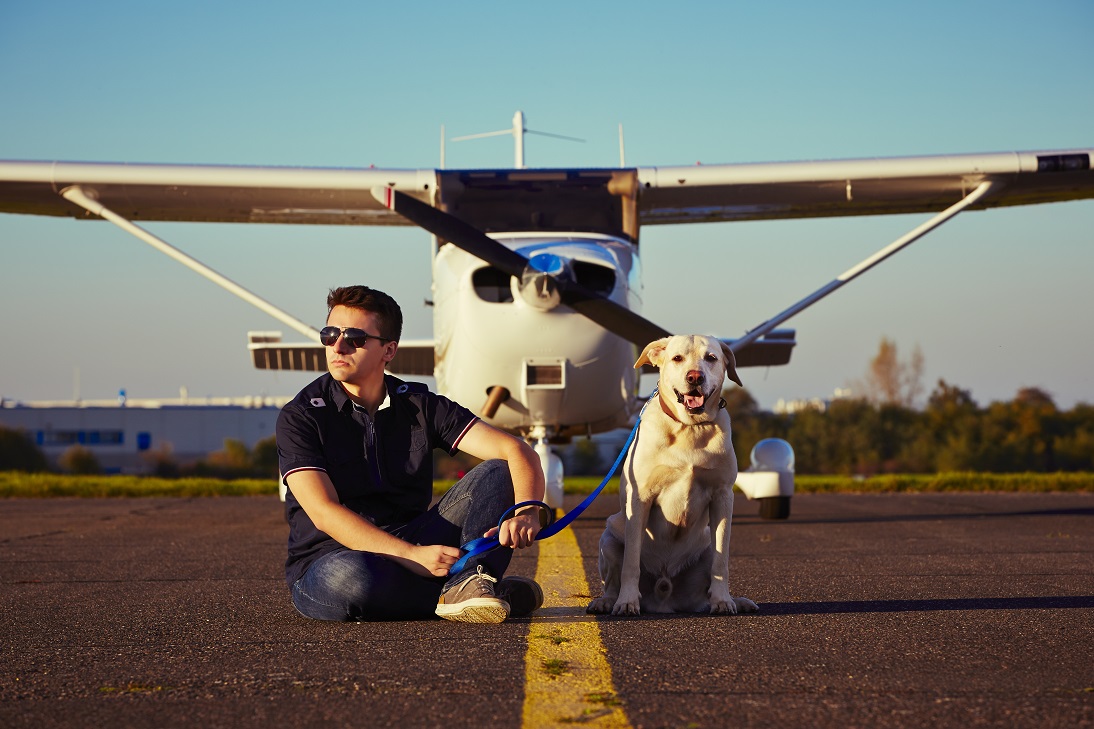 Chystáte se letět na dovolenou se psem? Nastudujte přípravu!